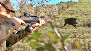 WildBoar Hunting