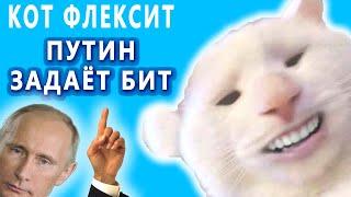 Putin plays Levanska Polka (deepfake). The white cat shakes his head to the beat. Flexit cat TaRaRam