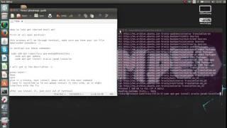 How to run a jar file on Ubuntu 14.04, 14.10 (RSPS Black Screen Fix)