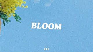 Post Malone x Iann Dior Type Beat - "BLOOM" | Guitar Pop Instrumental