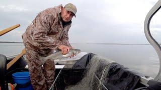 Рыбалка сетями на крайнем севере на очень дорогую рыбу. Fishing with nets.