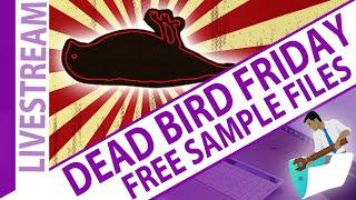 Dead Bird and Open Q&A Friday - Free FileMaker Sample Files