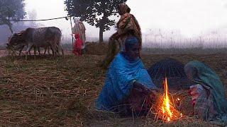 Winter Village Life in Bangladesh || শীতের গ্রামীণ জীবন ||  @PanoramaDocumentary