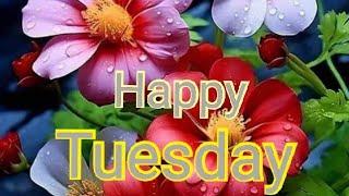 Good morning tuesday !! Tuesday good morning images