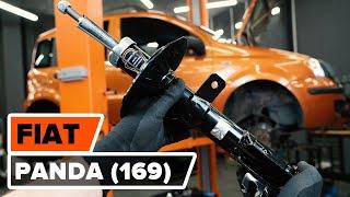 Wie FIAT PANDA (169) vorderes Federbein wechseln [AUTODOC TUTORIAL]