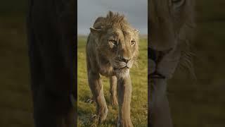 Mufasa: The Lion King | Final Trailer | In Cinemas 19 December