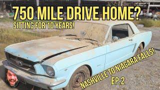 Reviving the BARN FIND 1965 Mustang! Road Trip from Nashville to Niagara Falls!