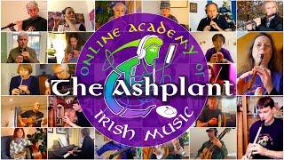 Global Irish Music Session Tune | The Ashplant