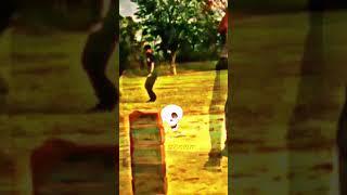 lagaya ball  || #cricket #shorts #youtubeshorts