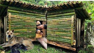 Build a shelter with wood and bamboo. Warm home for the dog family