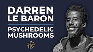 Psychedelic Conversations | Darren Le Baron - Psychedelic Mushrooms #10