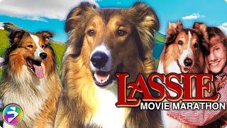 LASSIE Mega Marathon | 3 Classic Movies featuring your favorite canine | Dog Movies