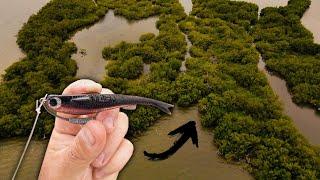 NLBN Murder Mullet Returns!! Taking my Dad Fishing on the Gheenoe for the Last Time...