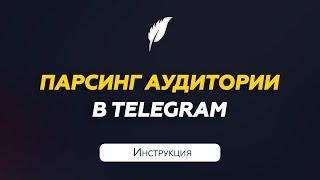 Парсинг аудитории в Telegram | Инструкция