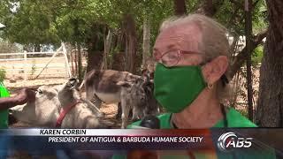 Friends development centre visit donkey sanctuary