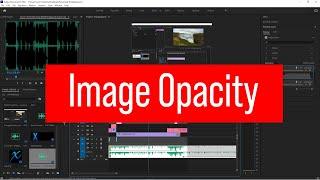 Change an image opacity in adobe Premiere pro