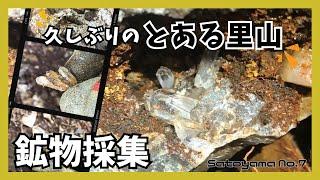 【鉱物採集】とある里山、久しぶりに沢の様子を見に行ってみた＆沢掘り水晶探し！【Satoyama No.7】