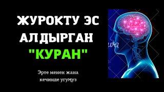 Жан дүйнөңдү эс алдыр | куран окуу | куран кооз ун менен