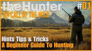 theHunter: Call Of The Wild #01 | Hints Tips & Tricks, A Beginners Guide To Hunting | Layton Lakes