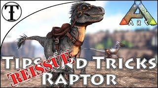 Fast Raptor Taming Guide Reissue :: Ark : Survival Evolved Tips and Tricks