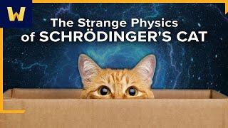The Strange Science of Schrödinger’s Cat and Quantum Superposition