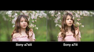 Sony a7siii vs Sony a7iii stills