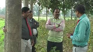 Sivashakthi bio technologies ltd teak plantation/सागवान वृक्षारोपण