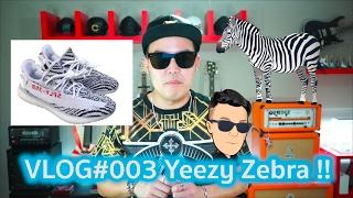 Zebra Boost เจ้ารองเท้าตัวป่วน - A Day With Goody (VLOG#003)