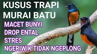 terapi murai batu macet bunyi stres drop mental