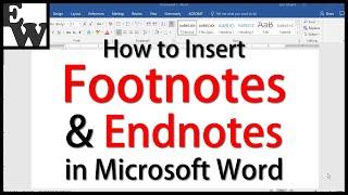 How to Insert Footnotes and Endnotes in Microsoft Word