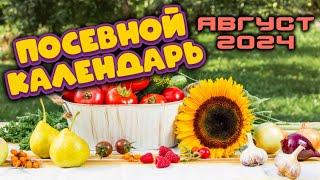 Агрогороскоп Август 2024: Лунный посевной календарь для сада и огорода.