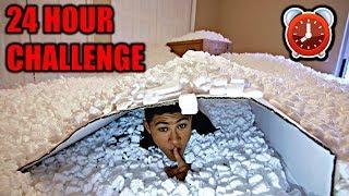 OVERNIGHT IN 1,000,000 PACKING PEANUTS | 24 Hour Challenge