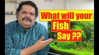 What will your Fish Say ?? All Aquarium Fish | Nature Aquarium | Mayur Dev's Tips | Fish Keeping  4K