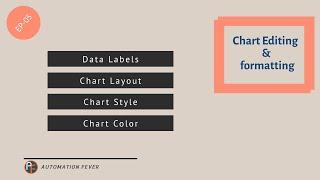 Data Labels, Chart Layout, Style and color in VBA | Advanced VBA in Hindi