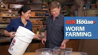 How to Create a Worm Farm | Ask This Old House