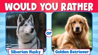 Would you rather | Dog Edition | Would you rather Animals edition