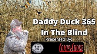 Daddy Duck 365 Live In The Blind