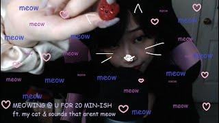 [ASMR] meowing at u for 20 min ft. my cat