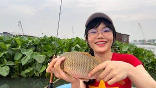 Câu Cá Sông Tự Nhiên Mùa Mưa | Câu Cá Chép Sông Đồng Nai | Mây Fishing