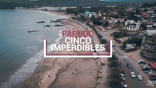 Cinco lugares imperdibles | Papudo 2021 