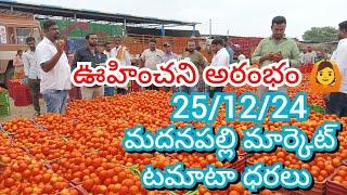 25/12/24 Madanapalle Tomato Market Price Today || Today Tomato Market Rate In Madanapalle #today