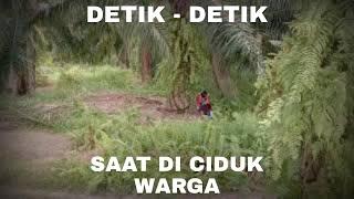 SAAT DETIK2 PASANGAN TERCIDUK WIKWIK DI KEBUN SAWIT