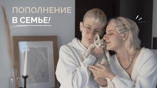 У НАС ПОЯВИЛСЯ КОТЕНОК! все о породе девон-рекс