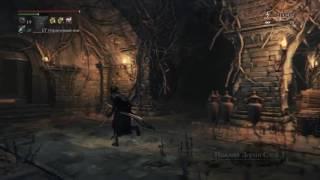 Bloodborne Волосы мудреца быстрый фарм