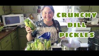 Canning the Very Best Crunchy Dill Pickles!