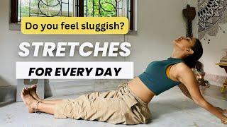 Everyday STRETCHES for Beginners @RaaiKotha  #mobility