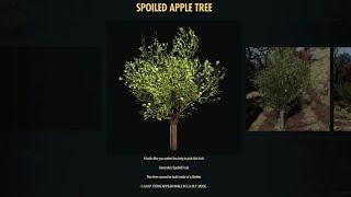 Fallout 76 Spoiled Apple Tree Review - New Spoiled Fruit Camp Resource