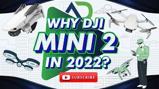 WHY DJI MINI 2 IN 2022 - ALTITUDE DIGITAL