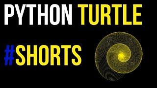 Python Turtle Projects - Simple Python Turtle Graphics / Python Projects #Shorts