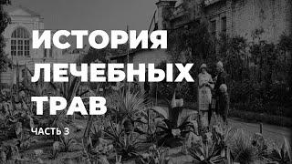 История лечебных трав. Часть 3 / Захар Травник